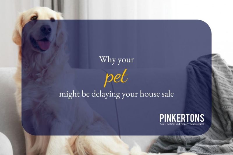 Why your pet might be delaying your house sale